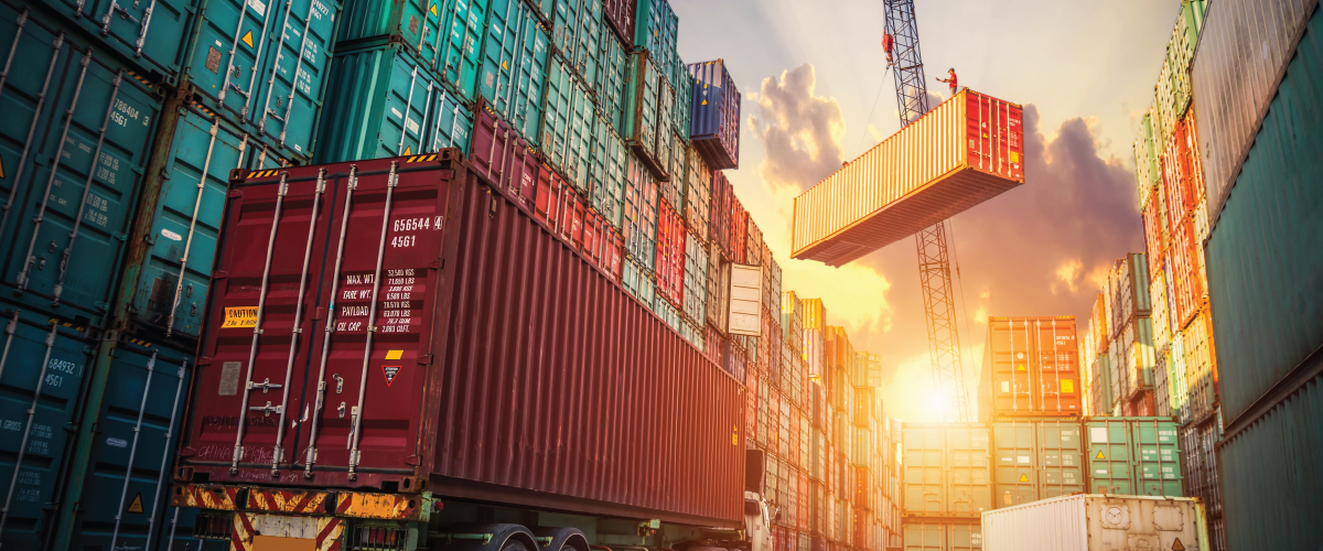 Import Services