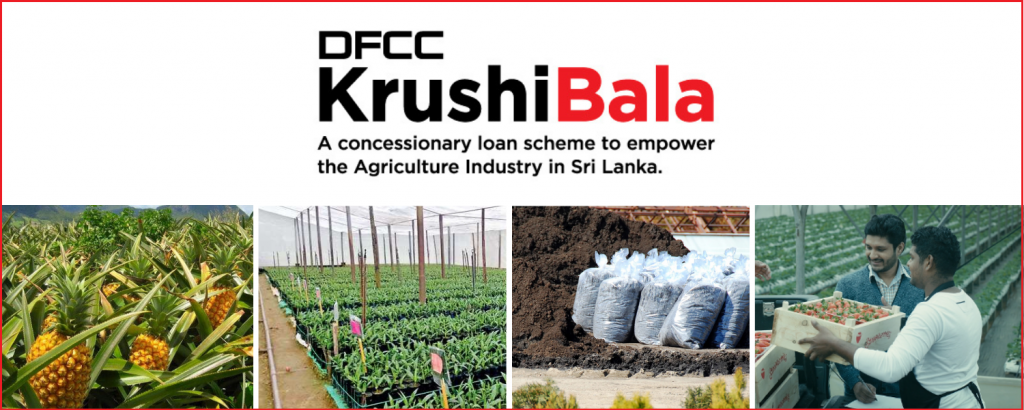 DFCC Bank unveils ‘Krushibala’ loan scheme to enhance local Agri businesses 1